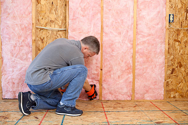 Best Fiberglass Insulation in Bellaire, TX