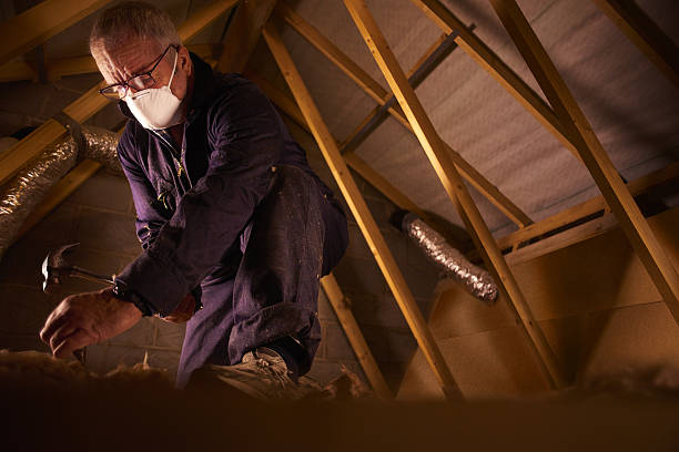 Trusted Bellaire, TX Insulation Contractor Experts