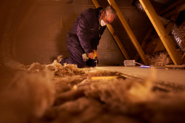 Best Eco-Friendly Insulation in Bellaire, TX